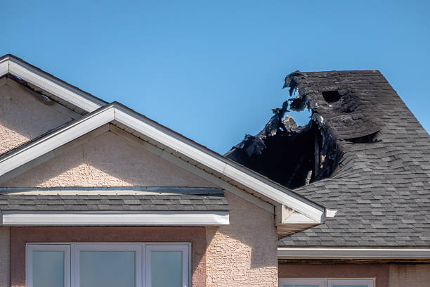 Top rated local Fire Damage Removal specialists in Baltimore, MD